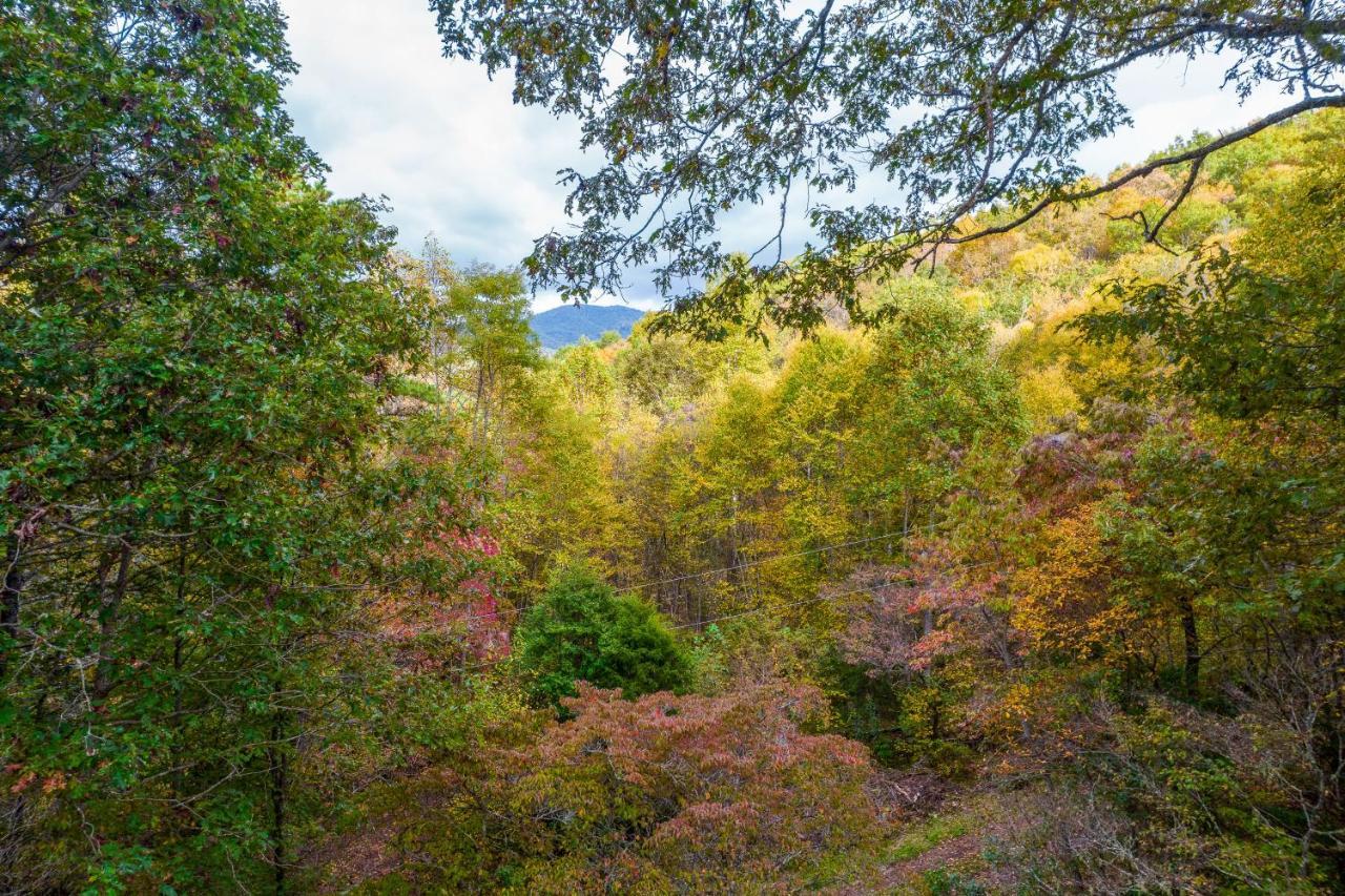 Mountain Top Tranquility Sylva Extérieur photo